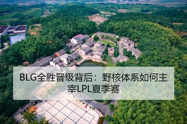 BLG全胜晋级背后：野核体系如何主宰LPL夏季赛