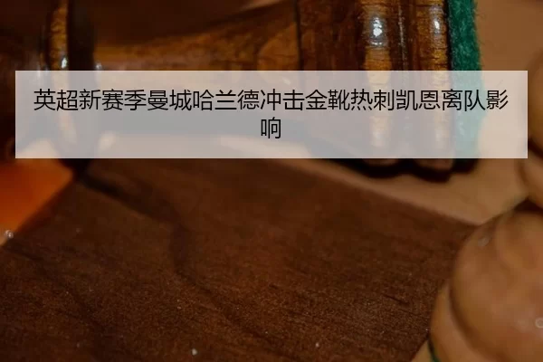 ying-chao-xin-sai-ji-man-cheng-ha-lan-de-chong-ji-jin-xue-re-ci-kai-en-li-dui-ying-xiang-3-895.jpg